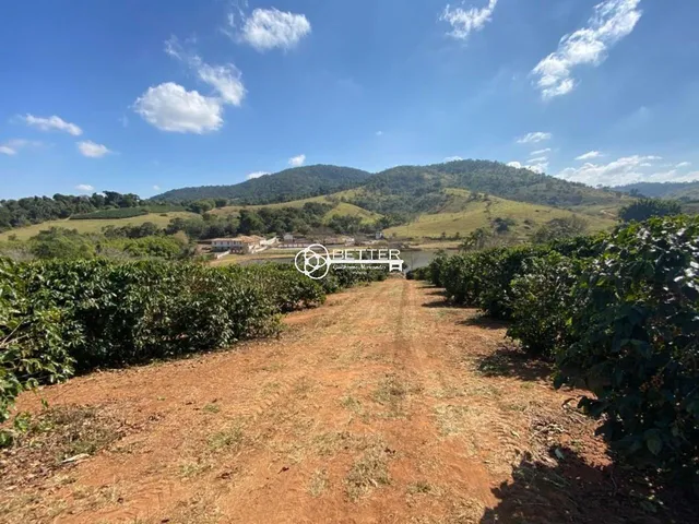 Imagem 7: Maravilhosa Fazenda de Café 247 Ha- Bom Sucesso/Mg