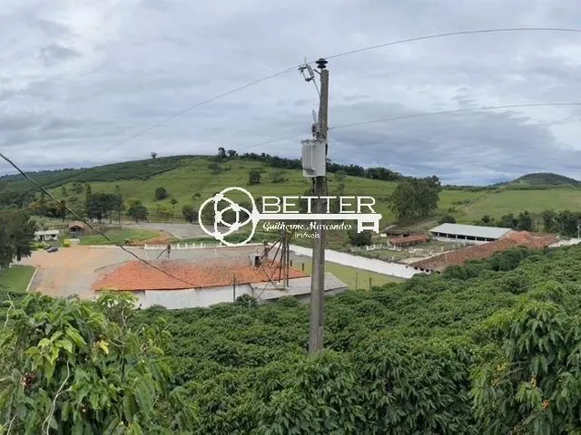 Imagem 5: Maravilhosa Fazenda de Café 247 Ha- Bom Sucesso/Mg