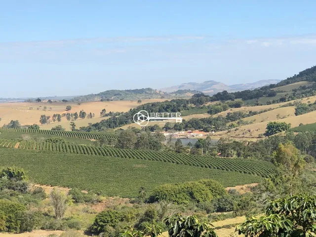 Imagem 10: Maravilhosa Fazenda de Café 247 Ha- Bom Sucesso/Mg