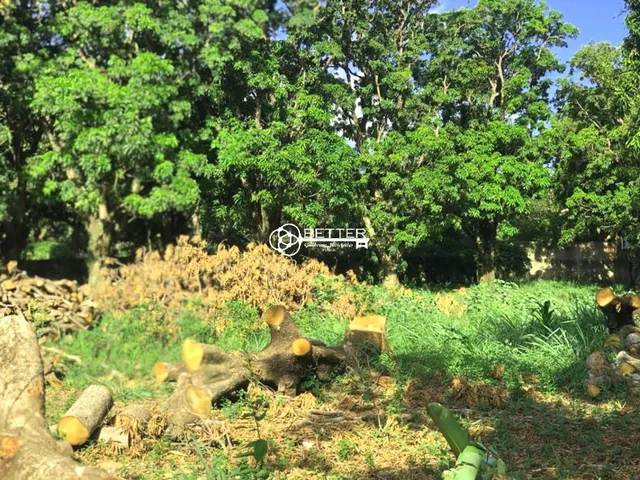Imagem: Terreno 1.450 M2 a Venda - Cond Mangueiras
