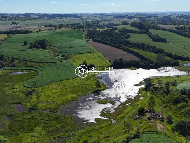 Imagem: Sitio 9,2 Alqueires Escelente para Cultivo
