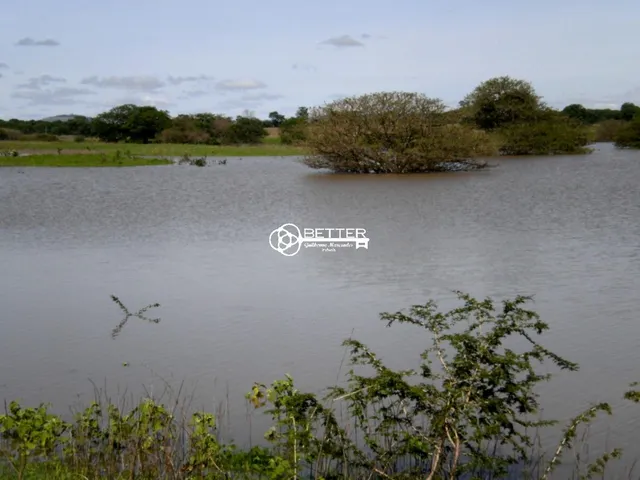 Imagem: Fazenda 9.500 Hectares - Divisa de Minas