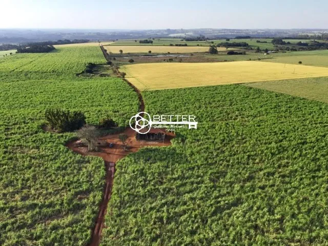 Imagem: Fazendola 24,55 Alqueires - Formação Cana