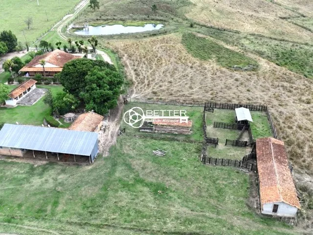 Imagem: Fazenda 30 Alqueires - Agricultura e Pastagem