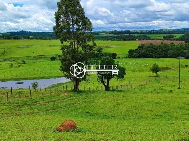 Imagem: Oportunidade!!! Fazendola 12,19 Alqueires