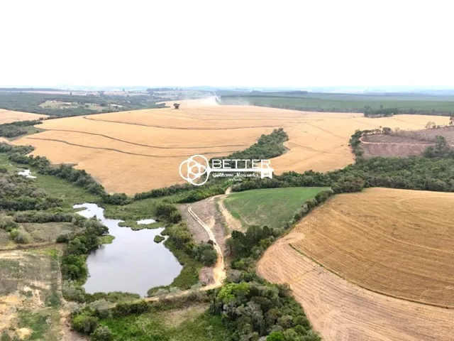 Imagem: Espetacular Fazenda 141,6 Alqueires - Produtora
