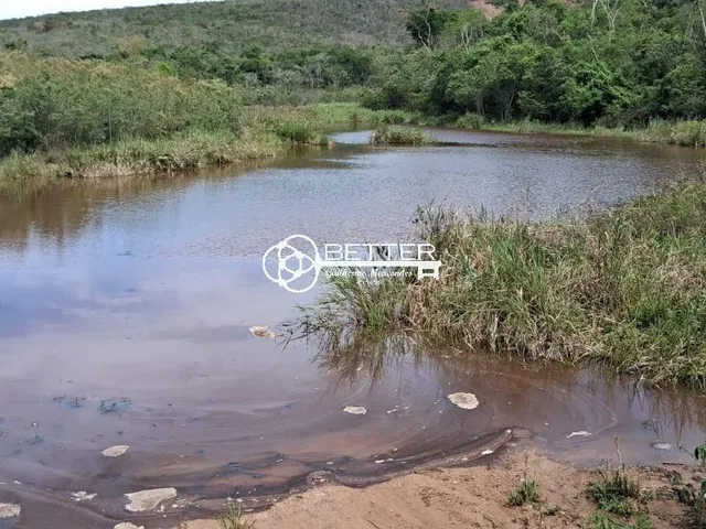 Imagem: Fazenda Ideal para Plantação de Café