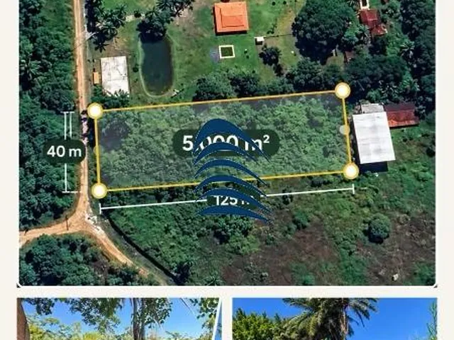 Imagem 10: Terreno À Venda em Vila de Abrantes, Camaçari