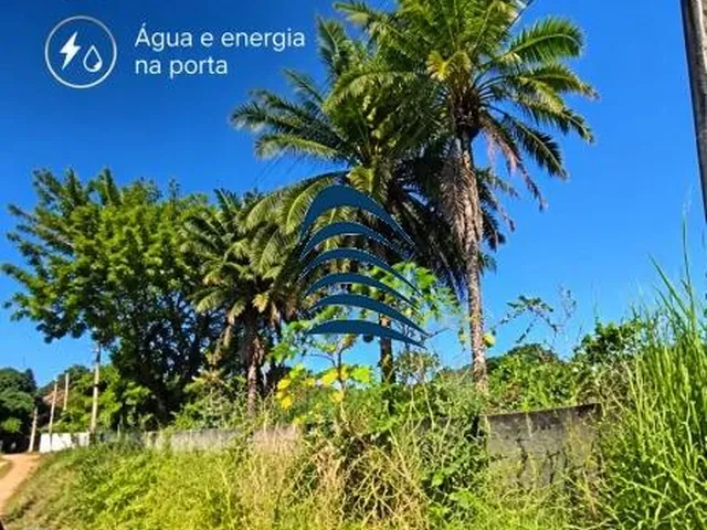 Imagem 7: Terreno À Venda em Vila de Abrantes, Camaçari