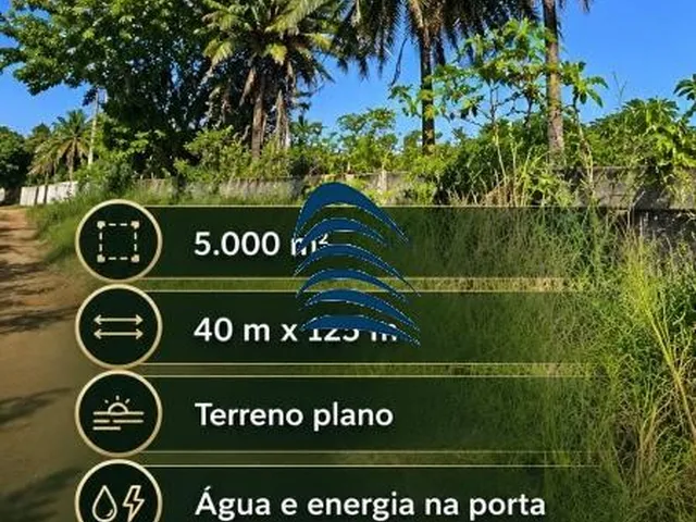 Imagem 4: Terreno À Venda em Vila de Abrantes, Camaçari