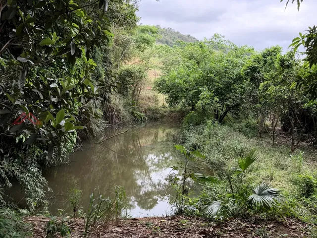 Imagem 4: Sítio de 10,83 Hectares com Nascente - Córrego Santo Antonio, Inhapim