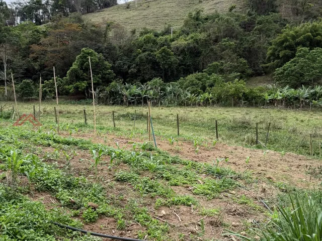 Imagem 6: Sítio de 10,83 Hectares com Nascente - Córrego Santo Antonio, Inhapim