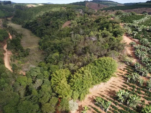 Imagem 5: Sítio com 13,8 Ha - Córrego do Alegre, Inhapim
