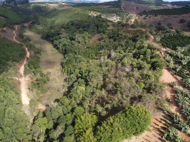 Imagem 6: Sítio com 13,8 Ha - Córrego do Alegre, Inhapim