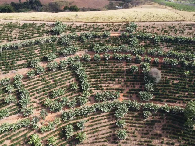 Imagem 7: Sítio com 13,8 Ha - Córrego do Alegre, Inhapim