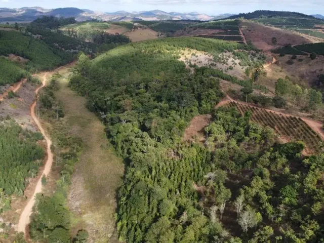 Imagem 8: Sítio com 13,8 Ha - Córrego do Alegre, Inhapim