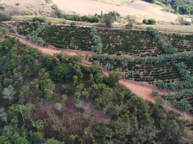 Imagem 10: Sítio com 13,8 Ha - Córrego do Alegre, Inhapim