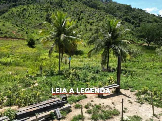 Imagem 2: Terreno de Café para Gado e Café com 18 Alq - Tabajara, Inhapim