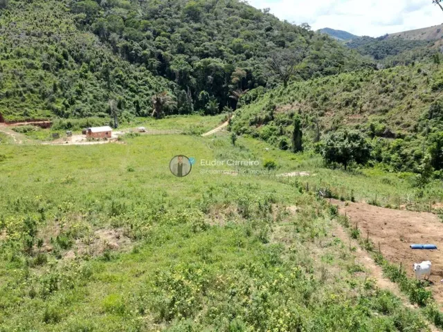 Imagem 3: Terreno de Café para Gado e Café com 18 Alq - Tabajara, Inhapim