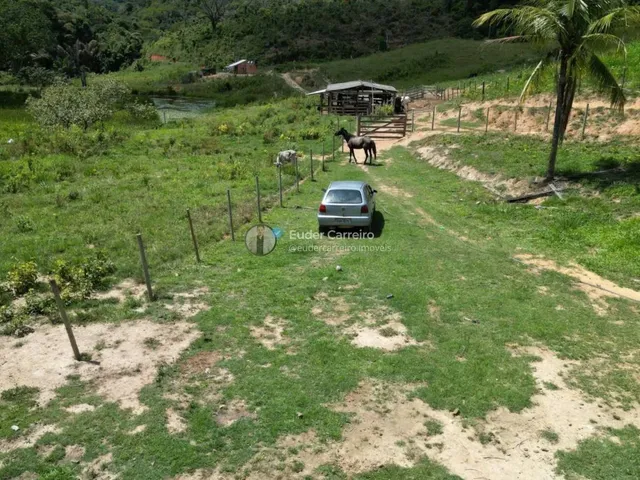 Imagem 6: Terreno de Café para Gado e Café com 18 Alq - Tabajara, Inhapim