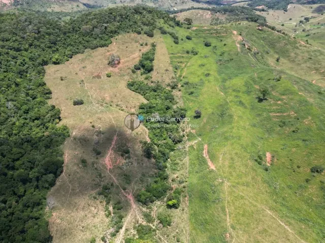 Imagem 8: Terreno de Café para Gado e Café com 18 Alq - Tabajara, Inhapim