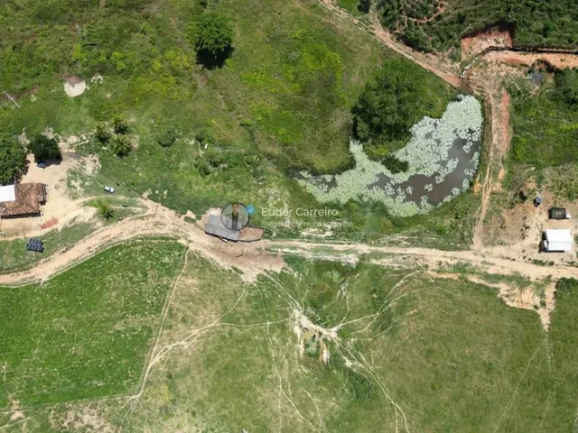 Imagem 10: Terreno de Café para Gado e Café com 18 Alq - Tabajara, Inhapim