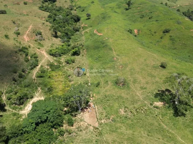 Imagem 11: Terreno de Café para Gado e Café com 18 Alq - Tabajara, Inhapim