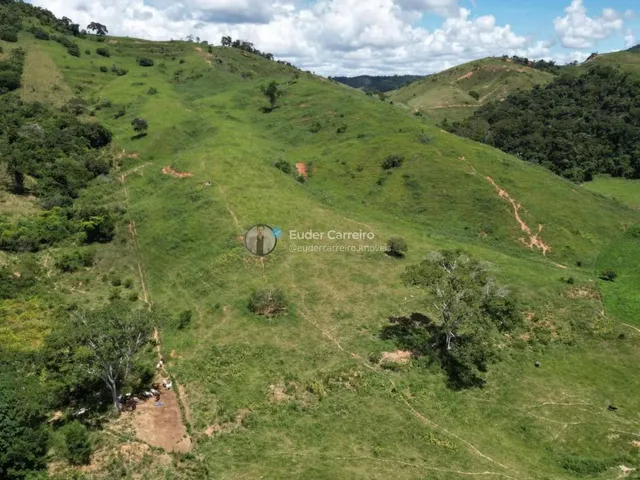 Imagem 12: Terreno de Café para Gado e Café com 18 Alq - Tabajara, Inhapim