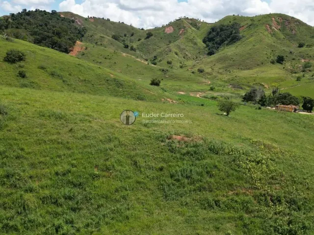 Imagem 13: Terreno de Café para Gado e Café com 18 Alq - Tabajara, Inhapim