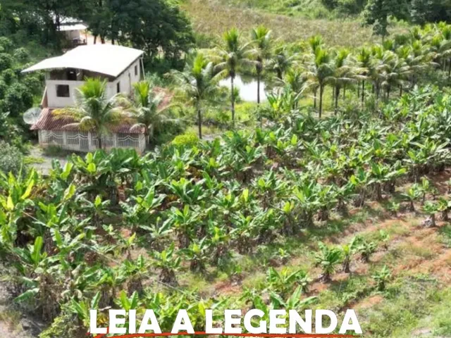 Imagem 2: Terreno de Café para Café com Área a Confirmar - Córrego dos Brás, Inhapim