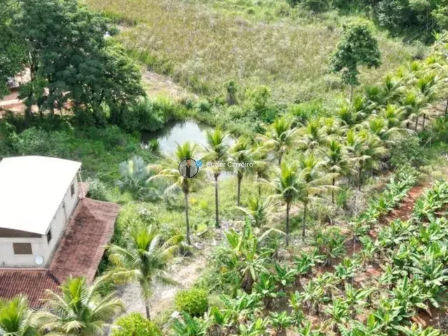 Imagem 3: Terreno de Café para Café com Área a Confirmar - Córrego dos Brás, Inhapim