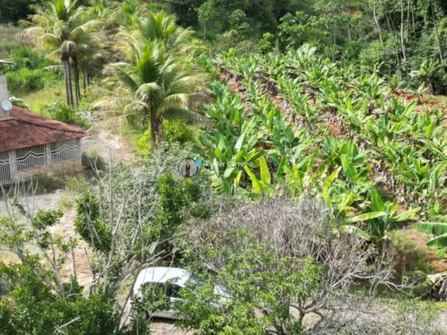 Imagem 6: Terreno de Café para Café com Área a Confirmar - Córrego dos Brás, Inhapim