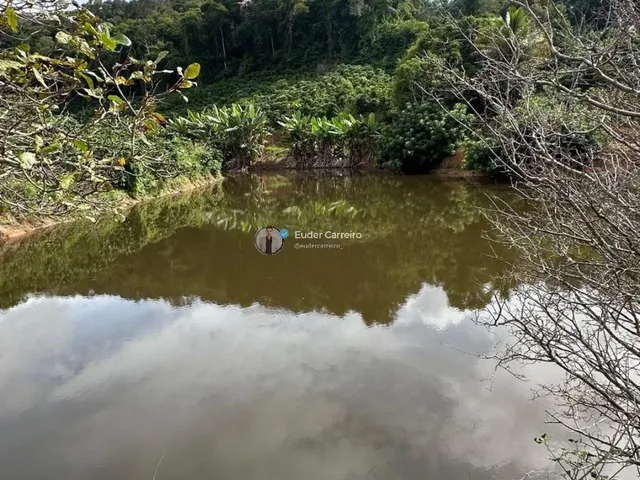 Imagem 8: Terreno de Café para Café com Área a Confirmar - Córrego dos Brás, Inhapim