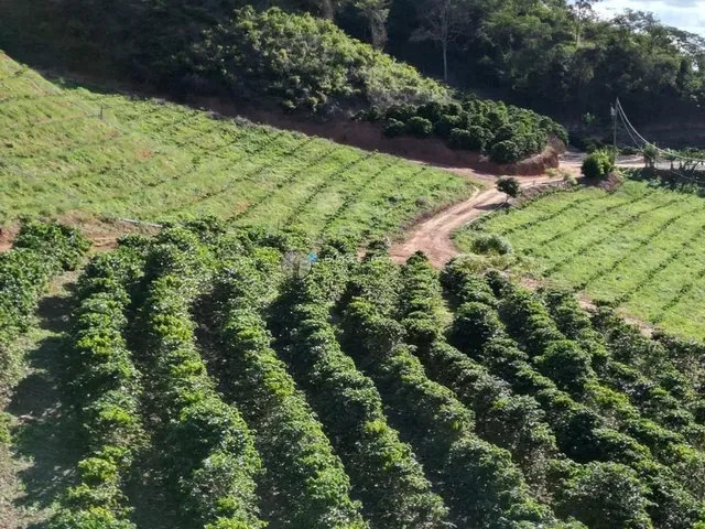 Imagem: Terreno para Café com 9,9 Ha - Córrego