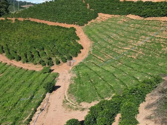 Imagem 3: Terreno para Café com 9,9 Ha - Córrego Santo Antônio, Inhapim