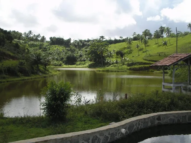Imagem 9: 0 Terreno / lote com venda por R$7.560.000
