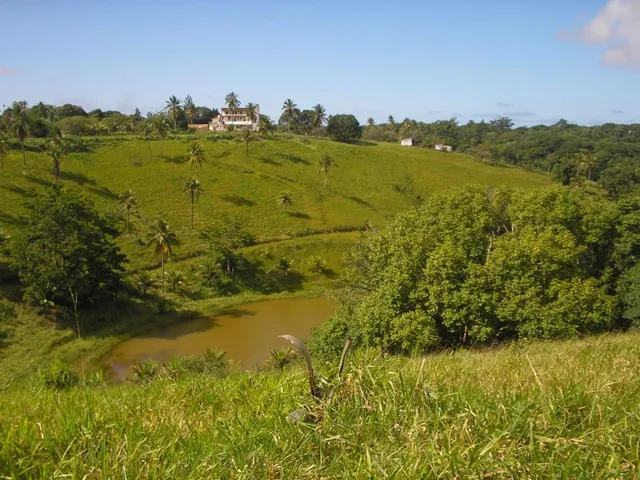 Imagem 10: 0 Terreno / lote com venda por R$7.560.000
