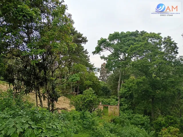 Imagem: Terreno Residencial de 480 M² na Vila Torres
